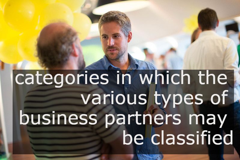 categories in which the various types of business partners may be classified