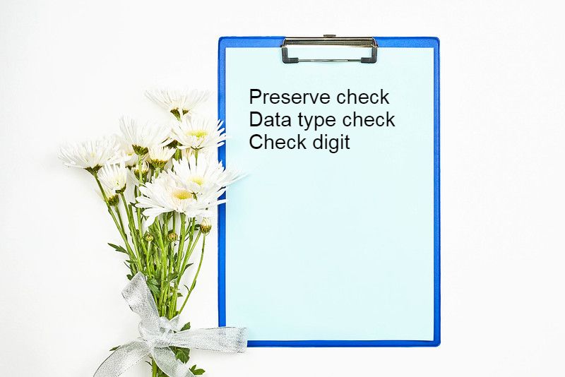 Describe each of the following validation checks as used in data processing: