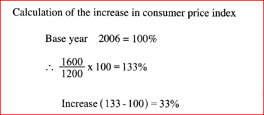Determine the increase in Consumer Price Index using 2006 as the base year. 