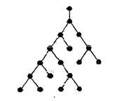 With the aid of a diagram, explain hierarchical (tree) network topology 