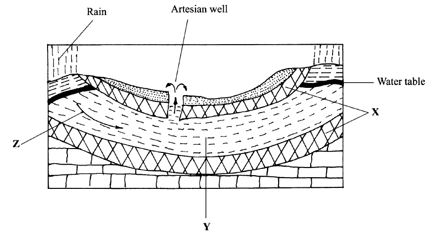 The diagram below represents an artesian basin. Use it to answer question (a). (a) Identify: (i) the layers marked X and Y.  (ii) the process marked Z.