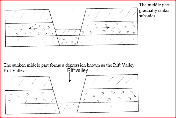 ​ii) With the aid of a well labeled diagram, describe how a Rift Valley is formed by tensional forces. 