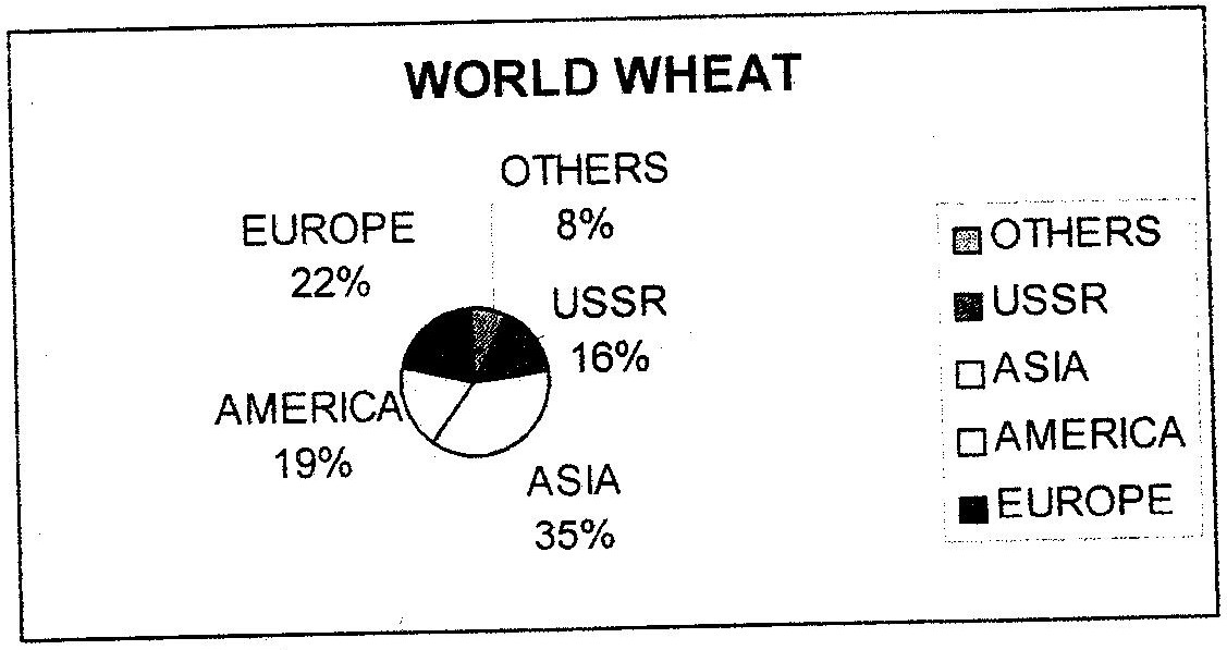 ​World wheat production by regions